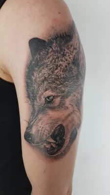 Lobofurioso 7 11Zon | Culpa Mía Tattoo - Estudio Tatuajes Madrid