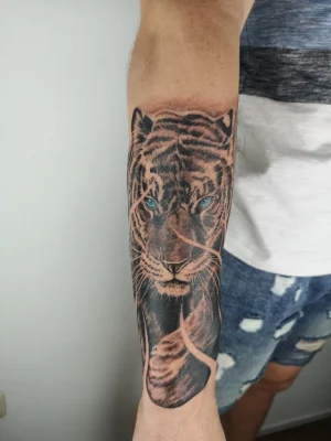 Tigremiguel 7 11Zon | Culpa Mía Tattoo - Estudio Tatuajes Madrid